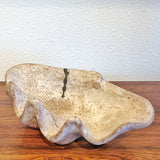 LARGE VINTAGE McCARTY POTTERY NUTMEG CLAMSHELL