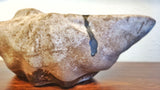 LARGE VINTAGE McCARTY POTTERY NUTMEG CLAMSHELL