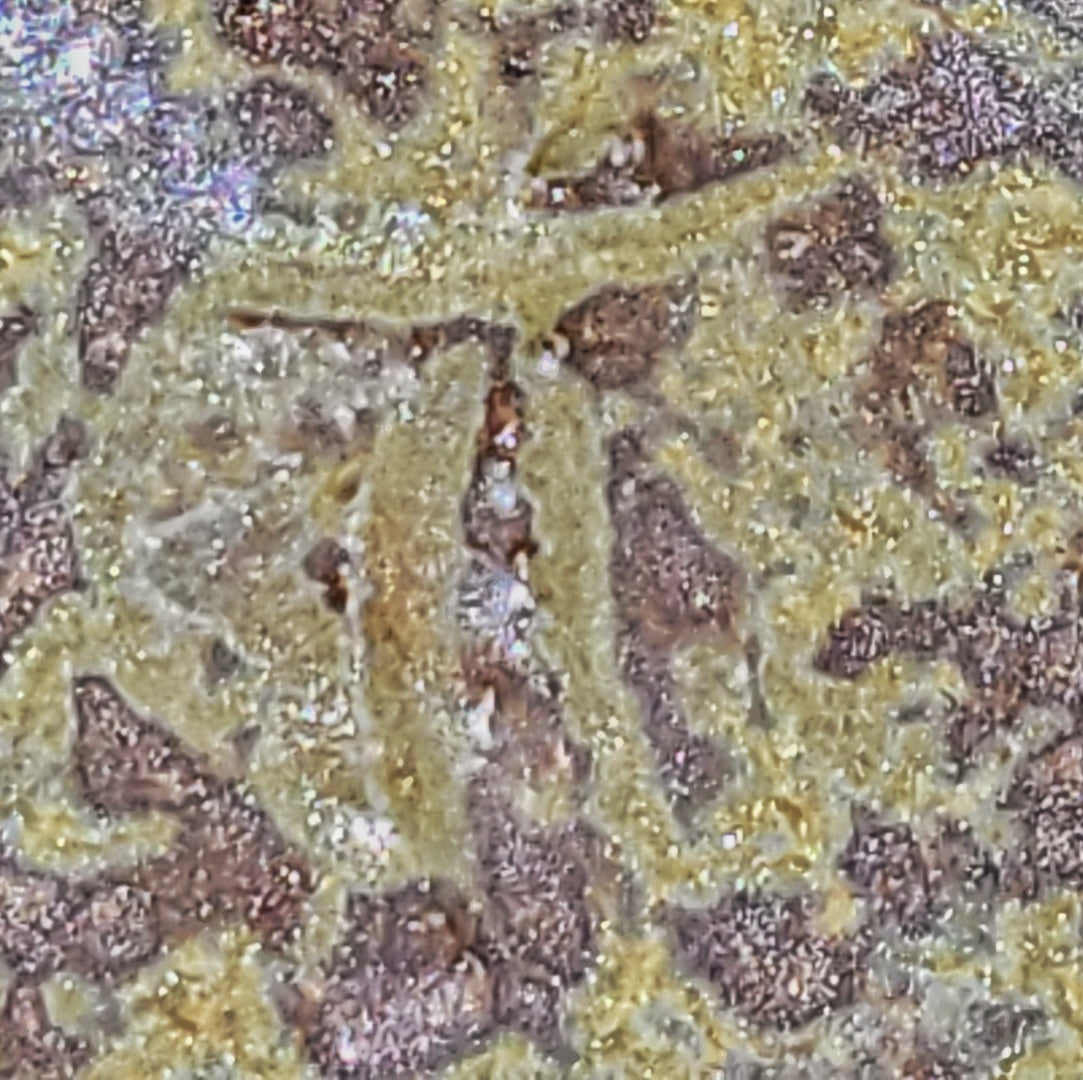 JAPANESE-STYLE STONEWARE URN FROM STUDIO POTTER TEL TURNBULL (FRANCE)