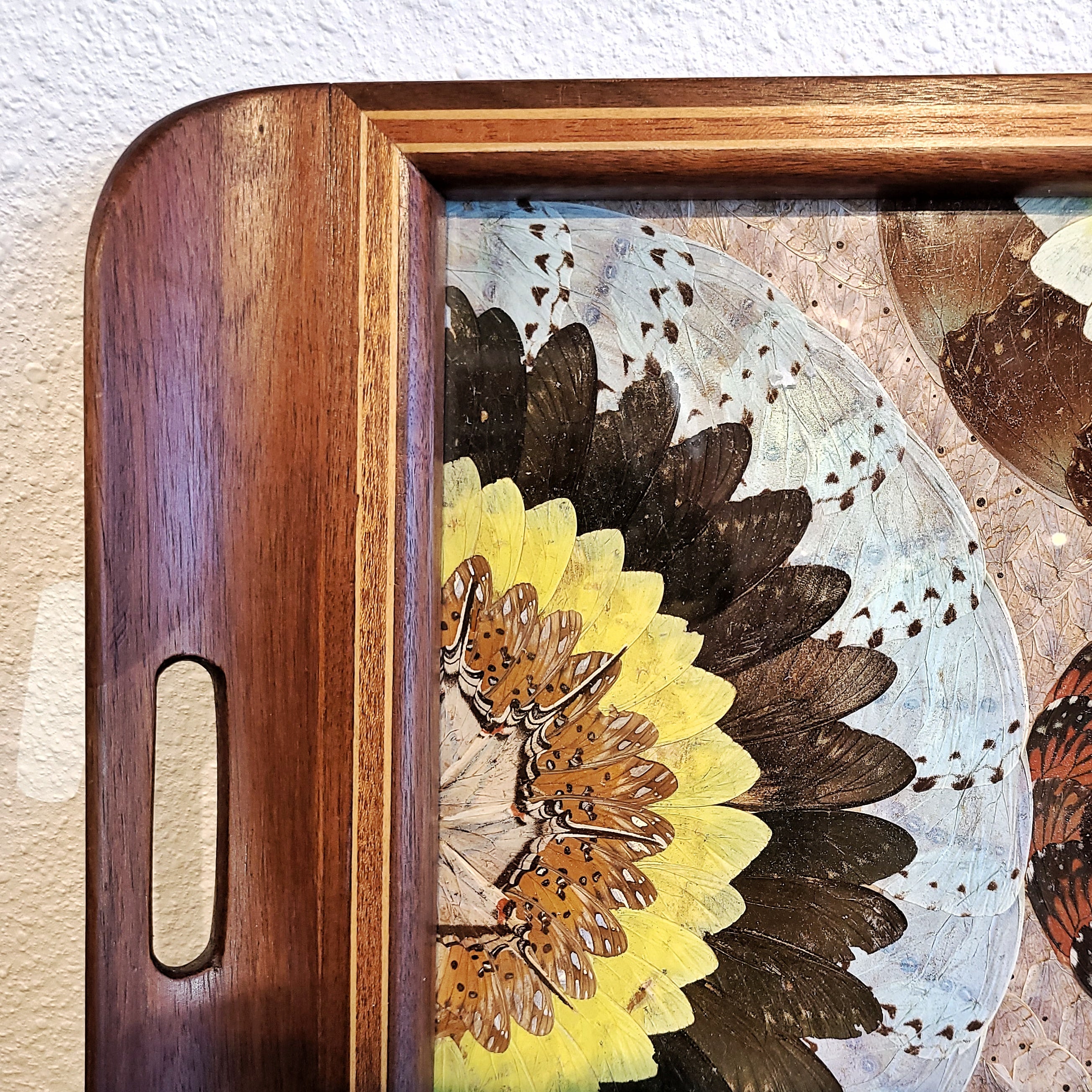 ANTIQUE BRAZILIAN BUTTERFLY WING TRAY (1920s)