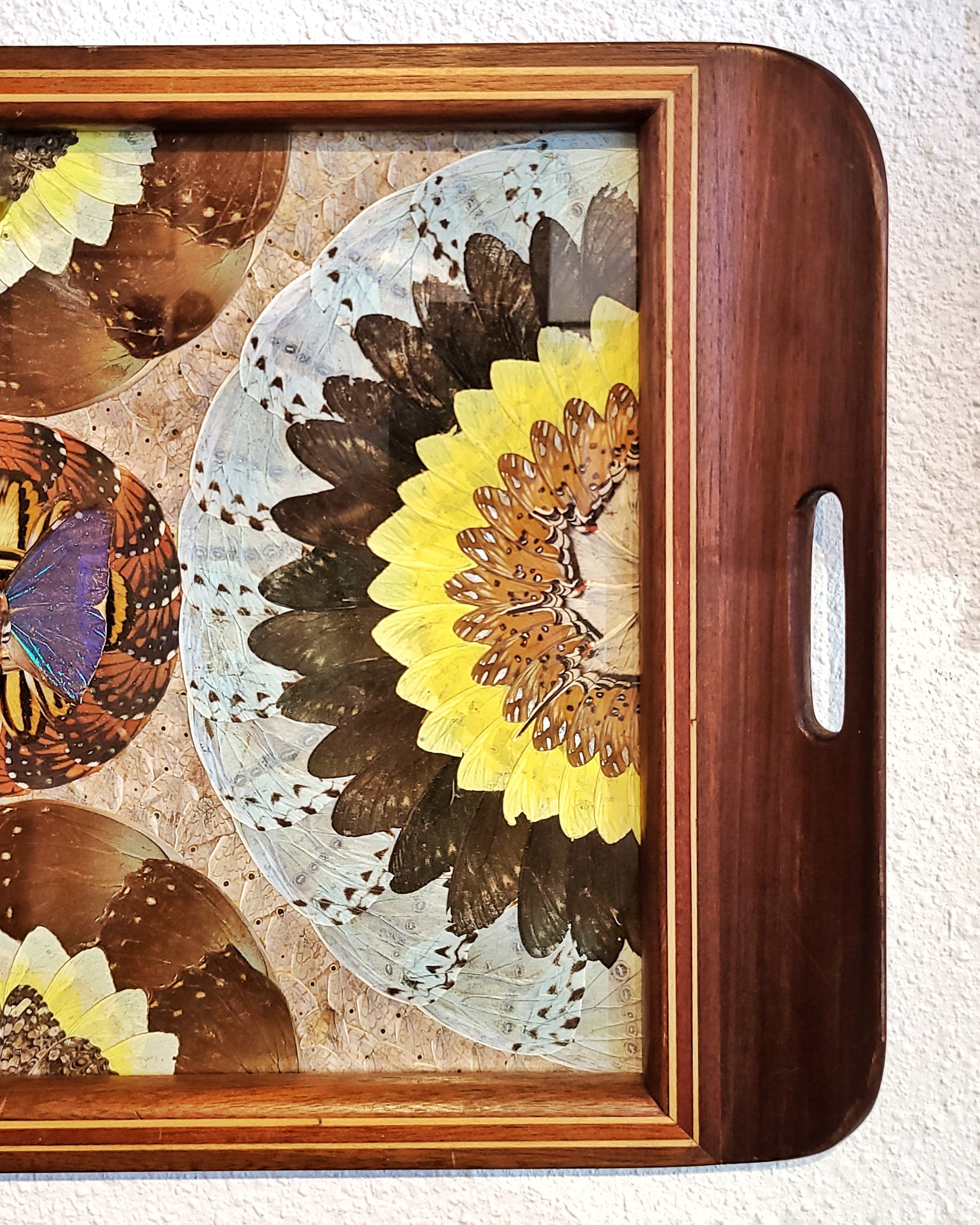 ANTIQUE BRAZILIAN BUTTERFLY WING TRAY (1920s)